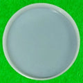 8" 15 Mm Deep Round Tray Mould